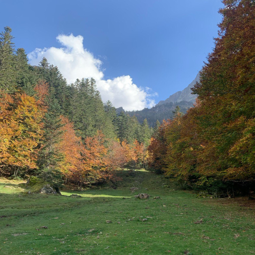 photo montagne
